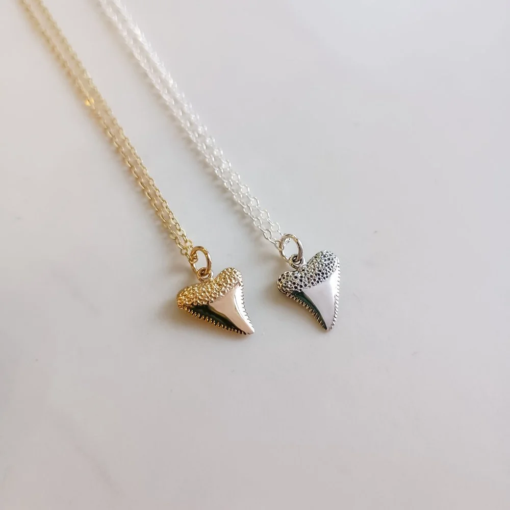 Shark Tooth Necklace