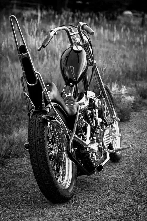 chopper1.jpg