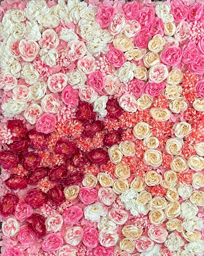 backdrop-03.png