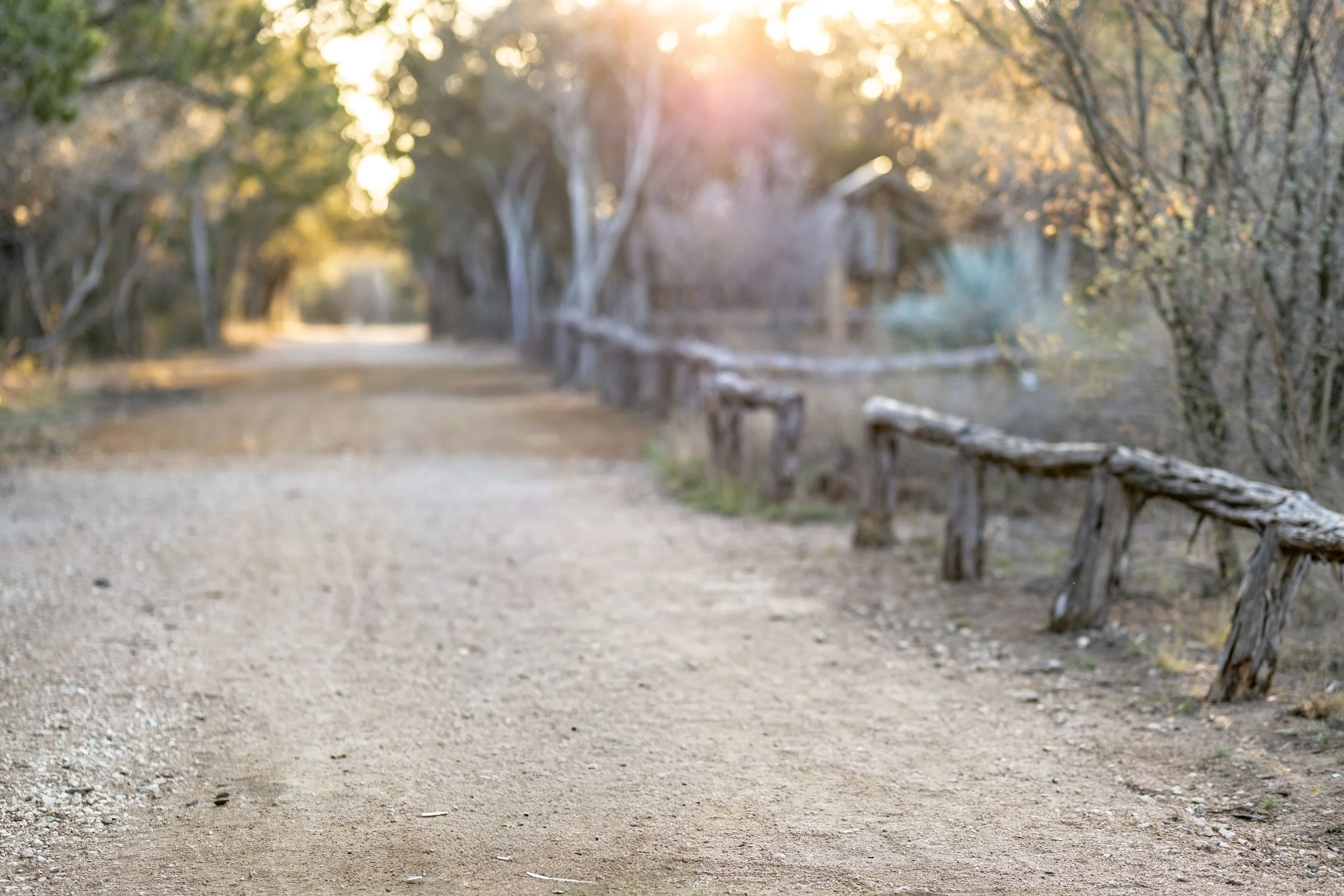 A dirt pathway with a rustic wooden fence on the right, lined with trees on both sides, illuminated by soft warm sunlight in a peaceful outdoor setting.