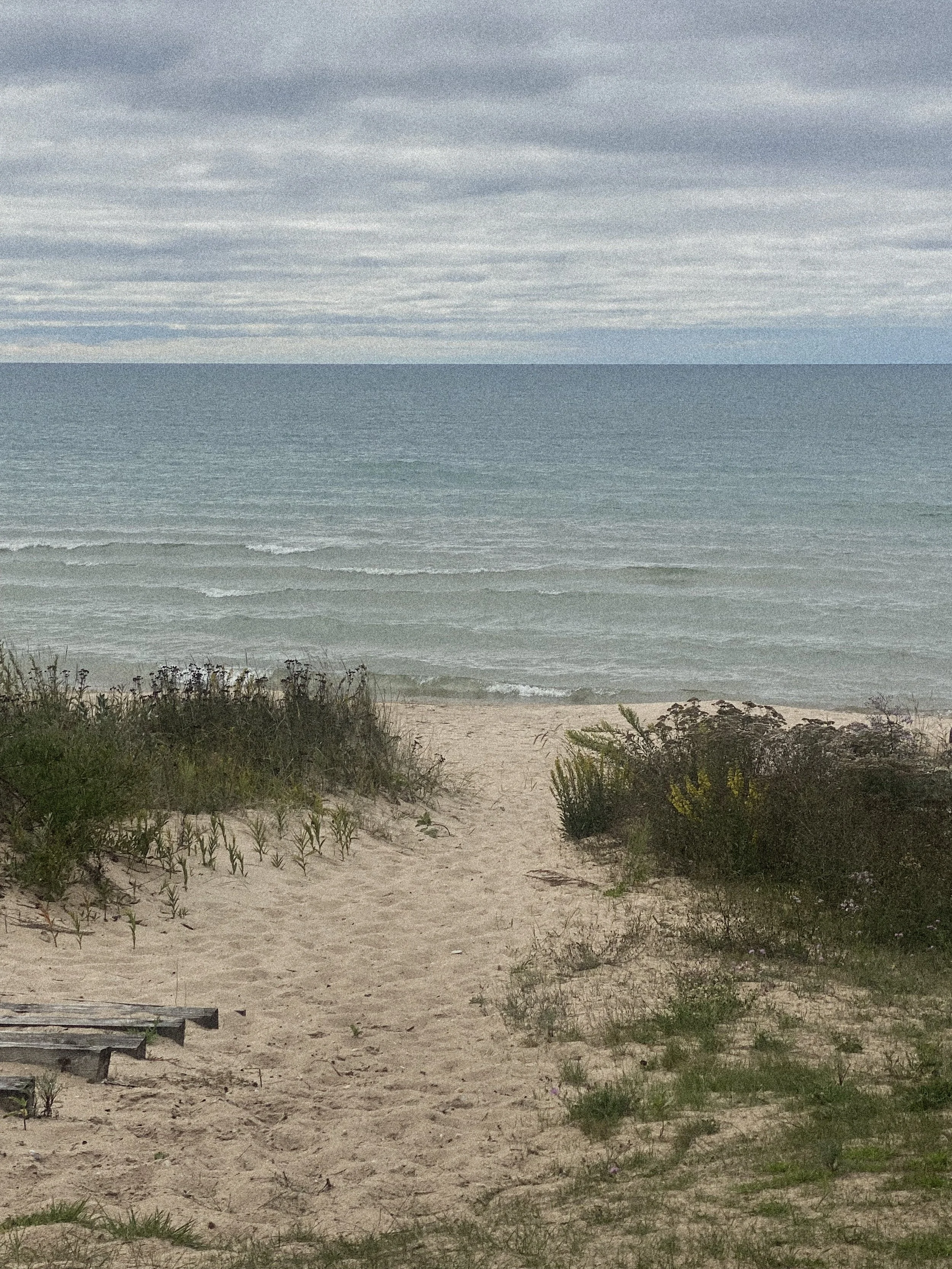 A sandy beach with sparse vegetation in the foreground, the ocean with gentle waves, and an overcast sky with thick clouds in the background.