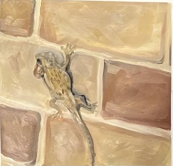 lizard.jpg