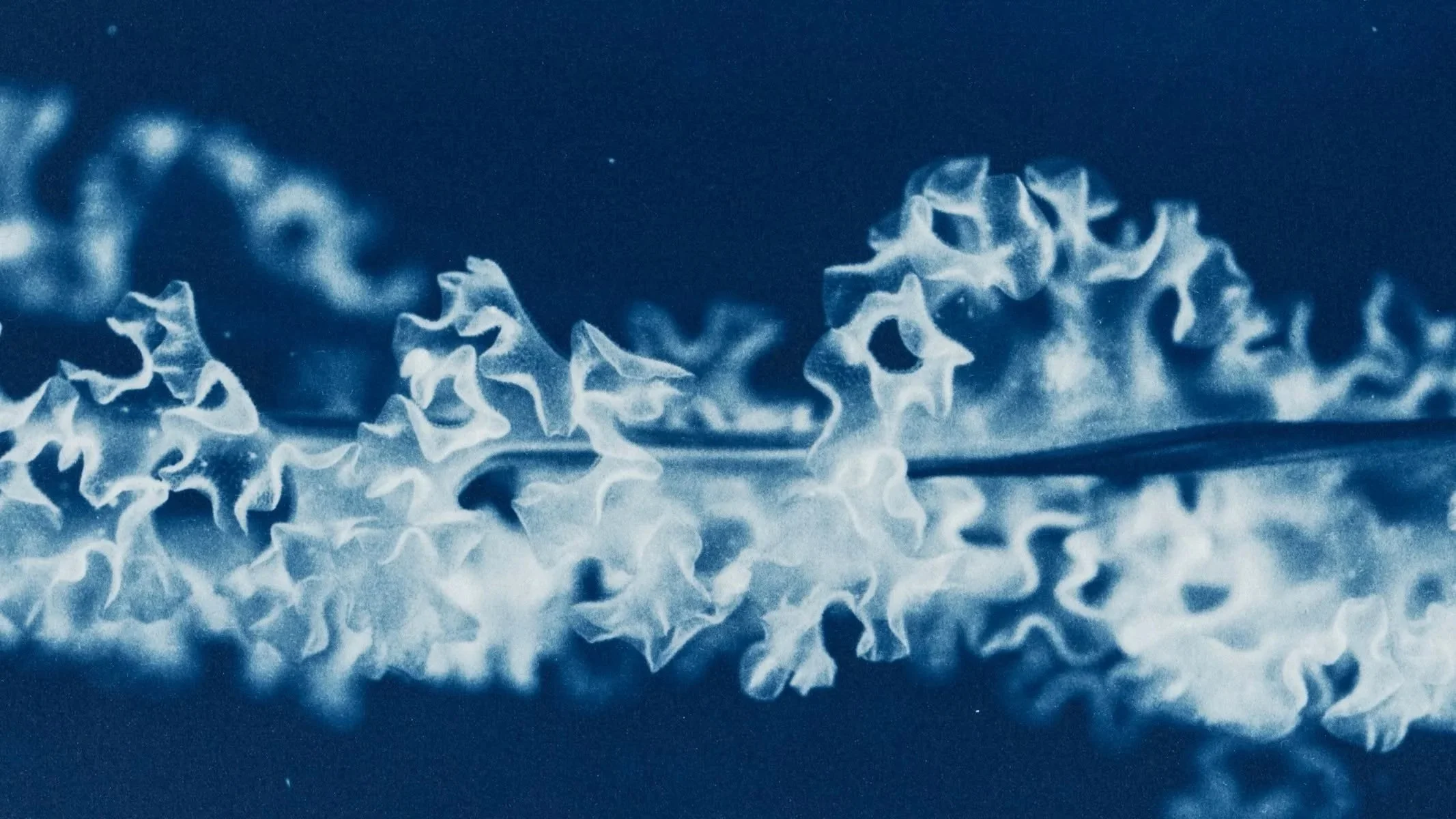 What Emotional Regulation Actually Means and Why It Changes Everything