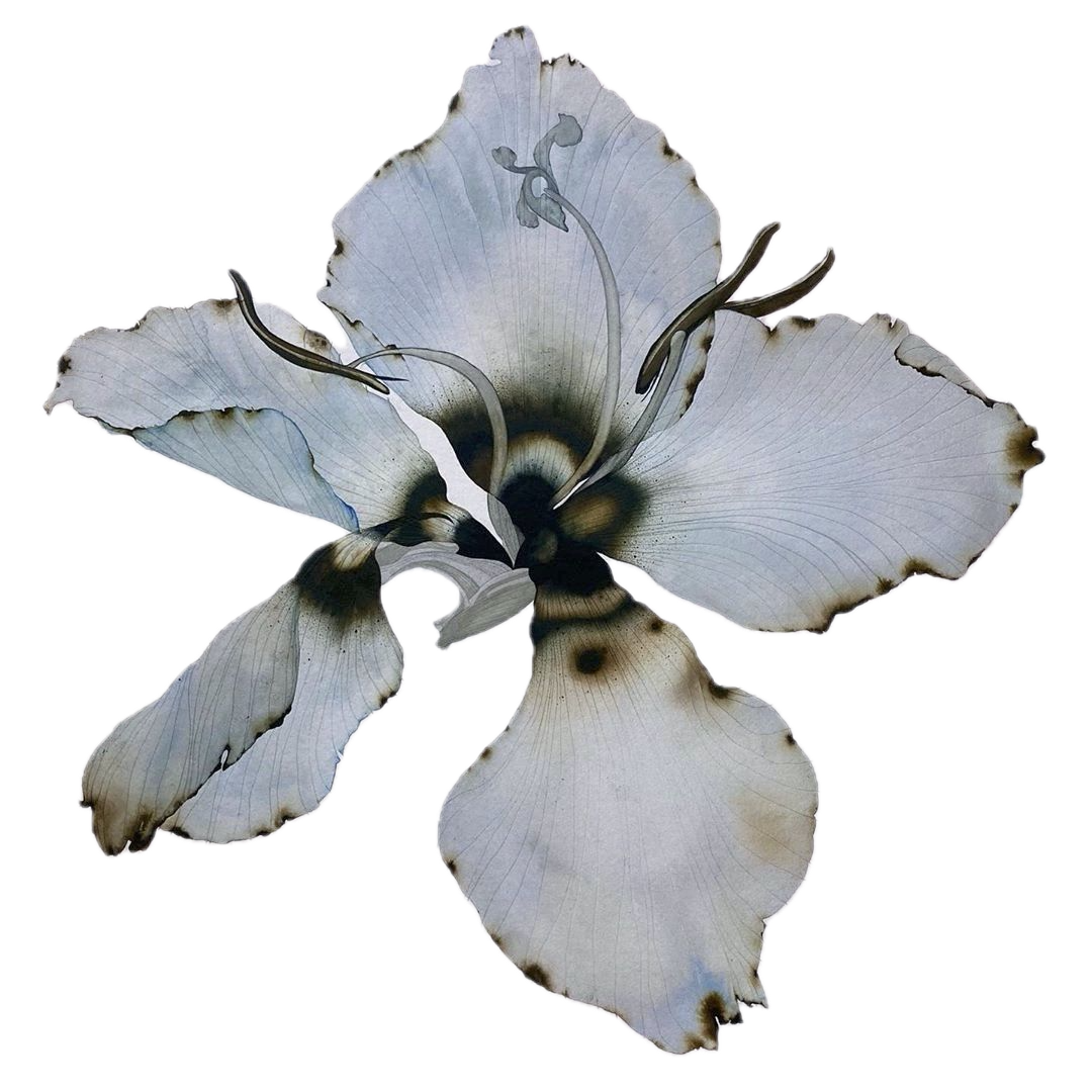 Registered psychotherapist offering employer-covered therapy sessions in Canada