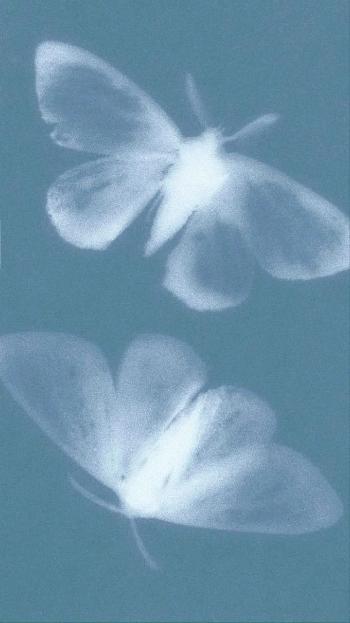 Corporate and community wellness programming by WellHaus Toronto