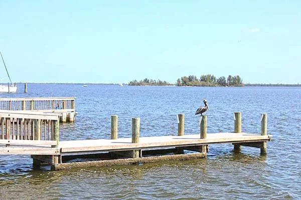 A wooden dock extending into a lake with a single heron standing on one of the posts, and an island with trees in the background.