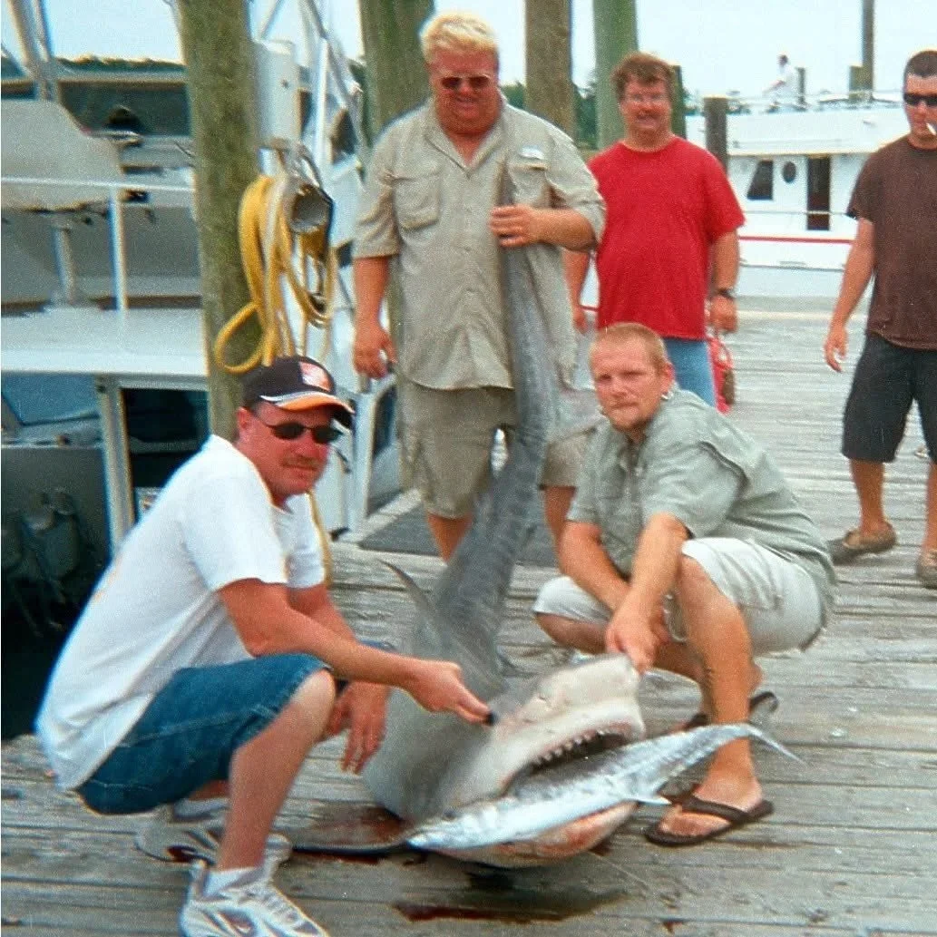 sebastian+inlet-tiger+shark-fishing+charter.jpg