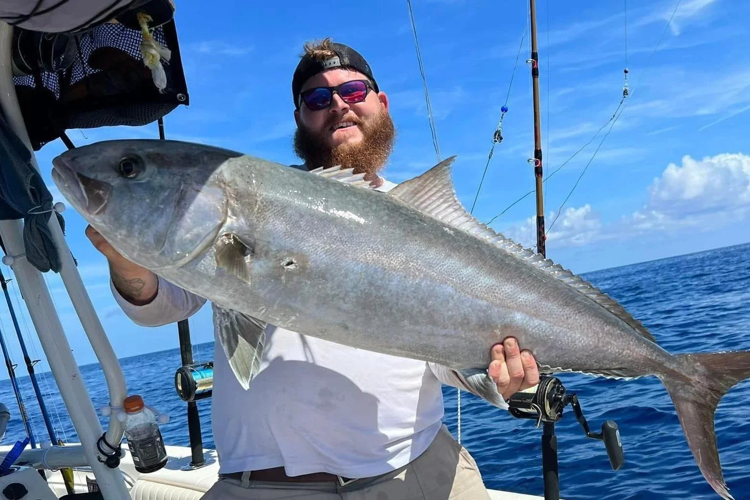 amberjack.jpg