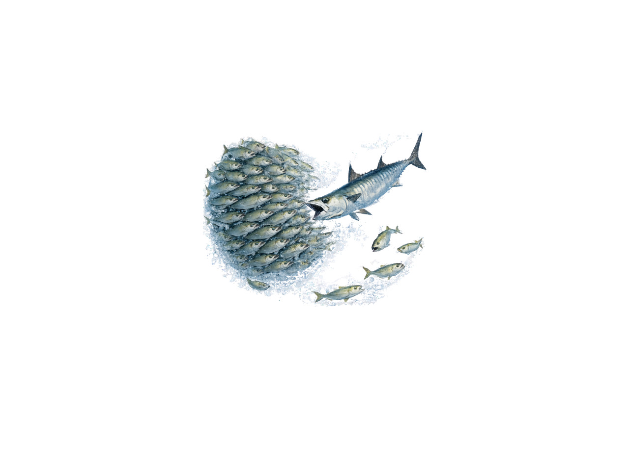 School of small fish forming a globe shape, with a large fish swimming nearby.