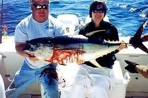 Nice Yellowfin tuna caught with Captain Scott