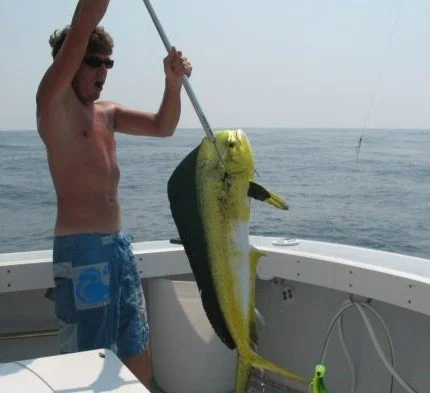 Mahi fishing