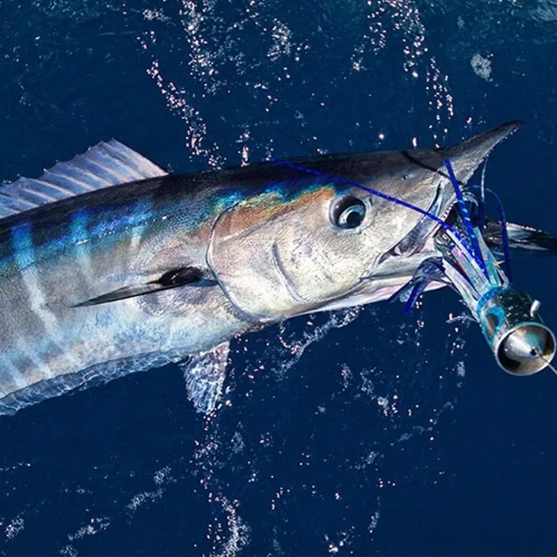 10 Hour "Gulf Stream or Bust" Trolling/ Bottom Fishing Combo Trip 1-3 people