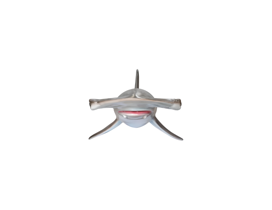 A model of a hammerhead shark with a smiling face, set against a black background.