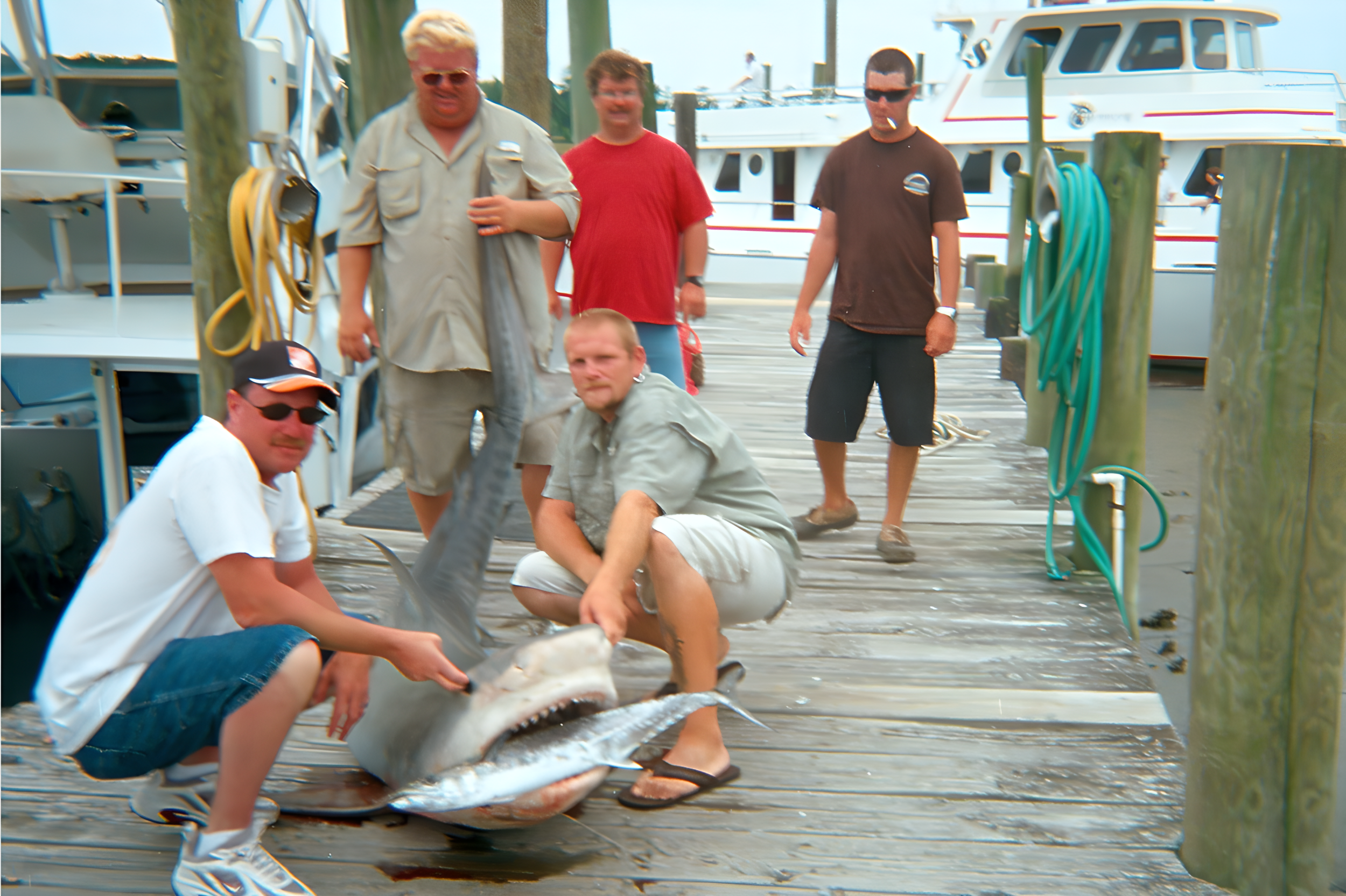 680 Lb Tigershark.jpg