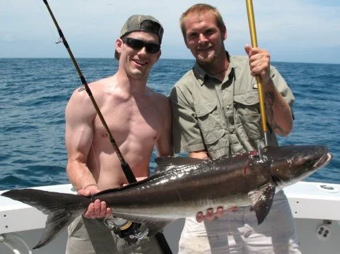 Cobia fishing Sebastian Inlet Florida Nauti Girl Sportfishing Charters Florida Captain Scott Wigal