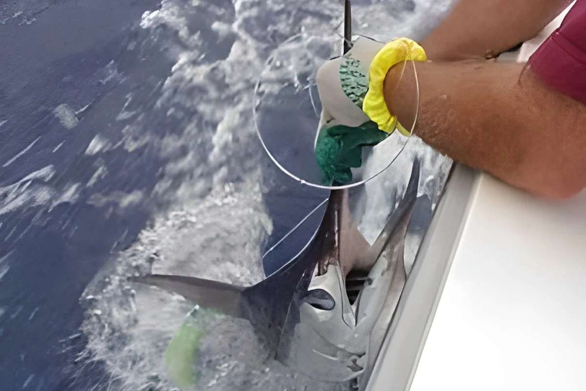 12 Hour Tuna Expedition Charter to the Other Side   1-3 people