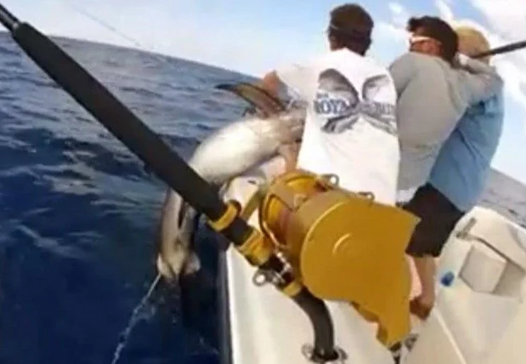 Swordfish coming over the rail
