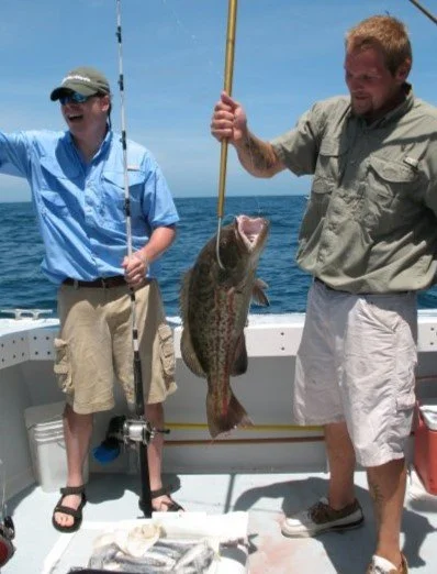 Gag Grouper