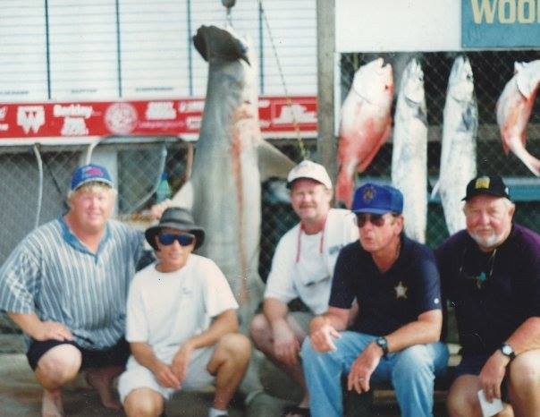 Scalloped Hammerhead Shark