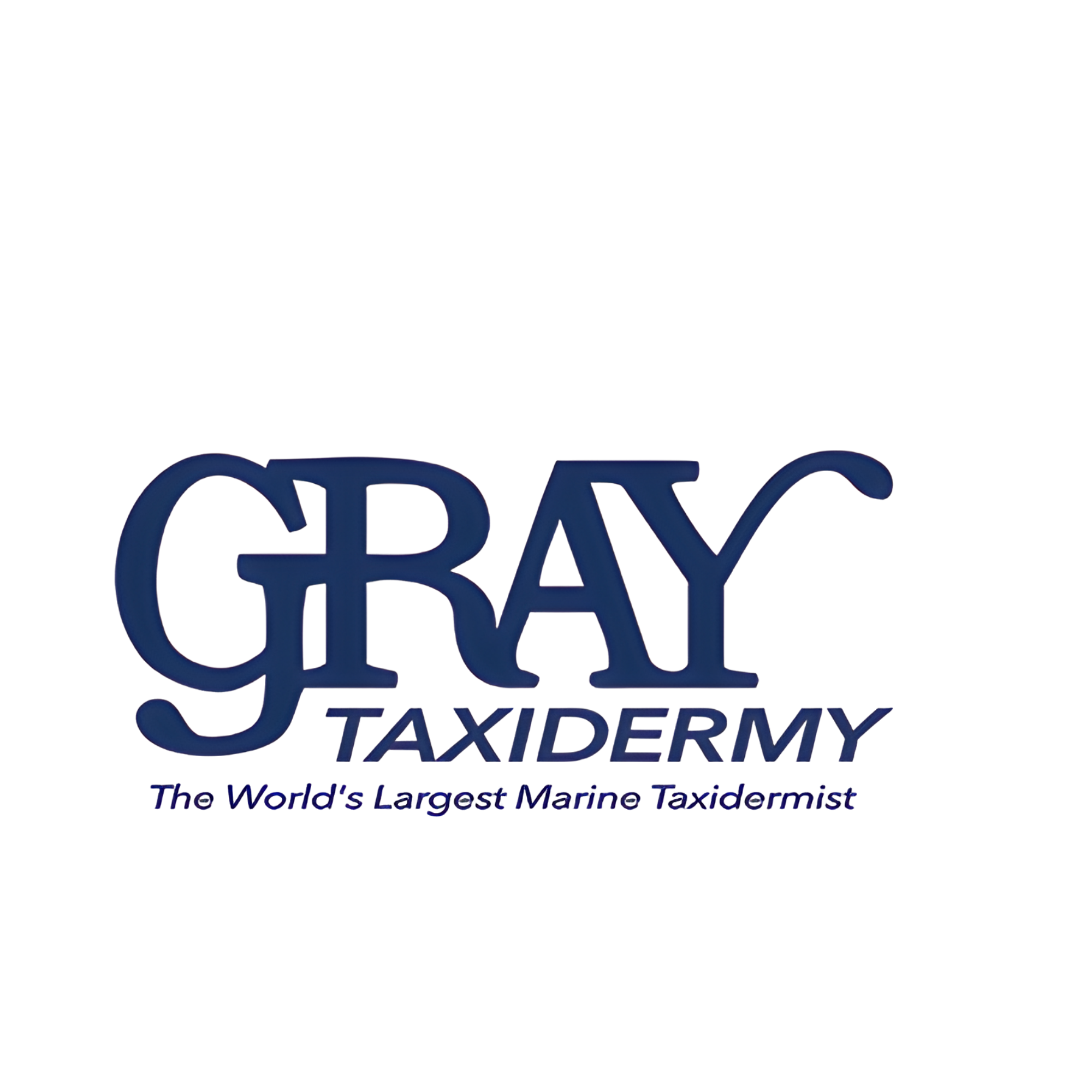 Logo of Gray Taxidermy with blue text, red and blue design elements, and a tagline 'The World's Largest Manta Taxidermist'.