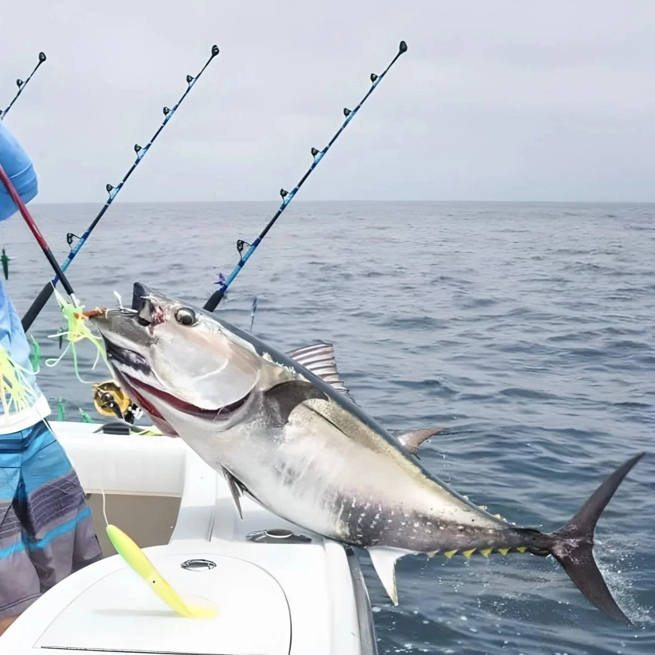 A large fish caught while fishing off a boat, with a line and hooks visible in its mouth, on open water with cloudy sky.