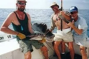 Nice sailfish caught trolling offshore on the Gulf Stream