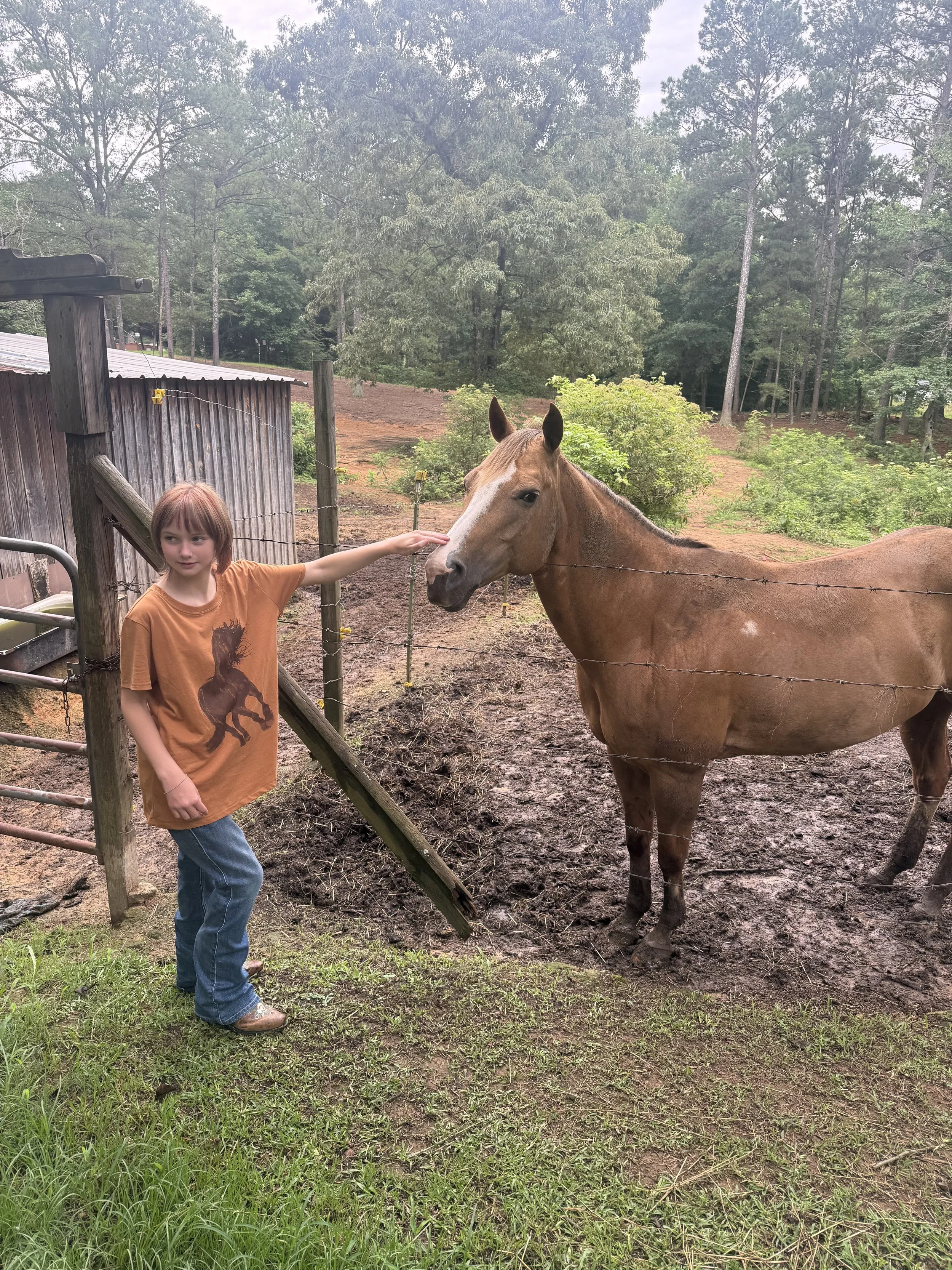 Neigh