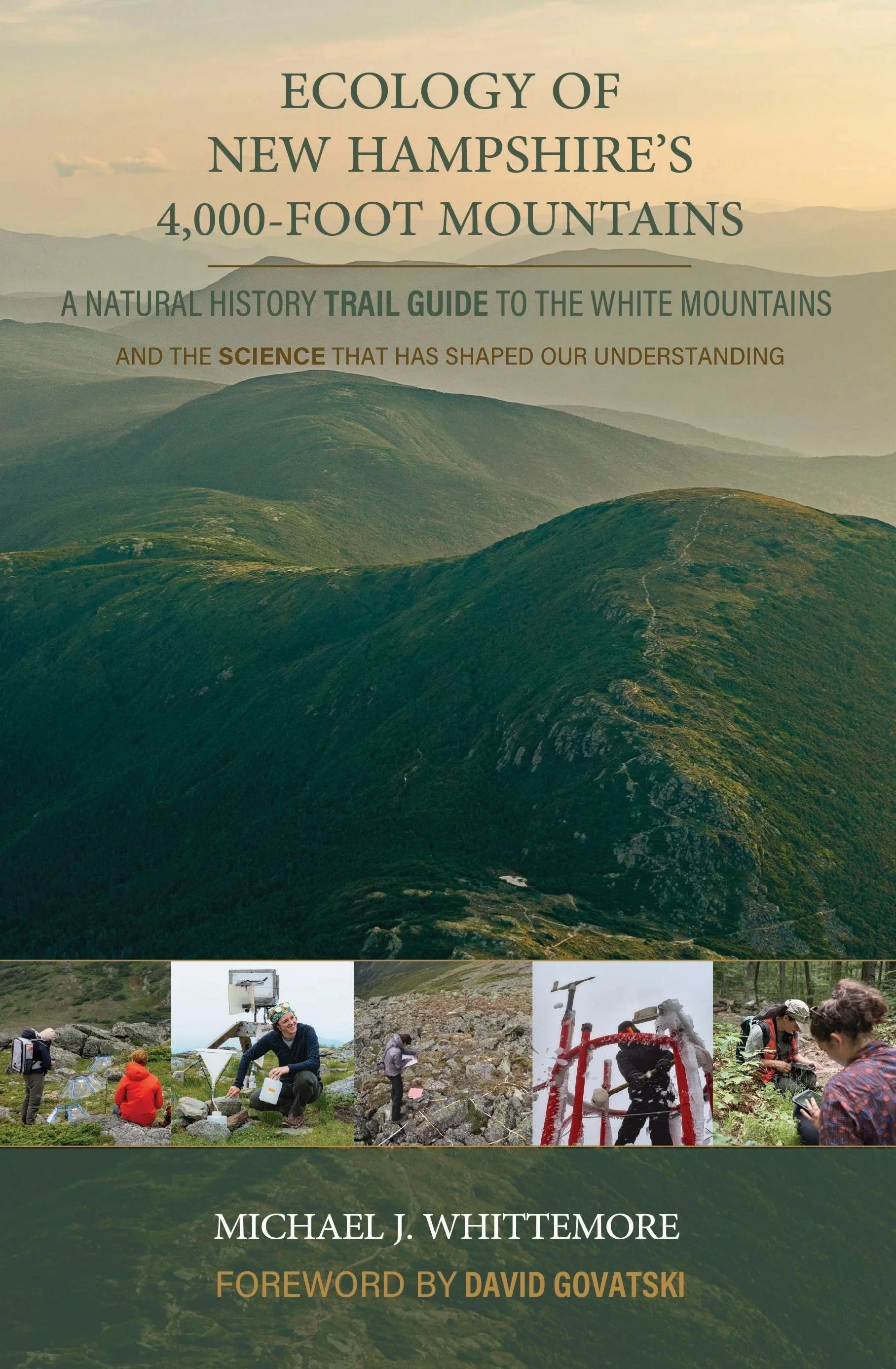 Ecology of New Hampshire's 4,000-Foot Mountains (Preorder)