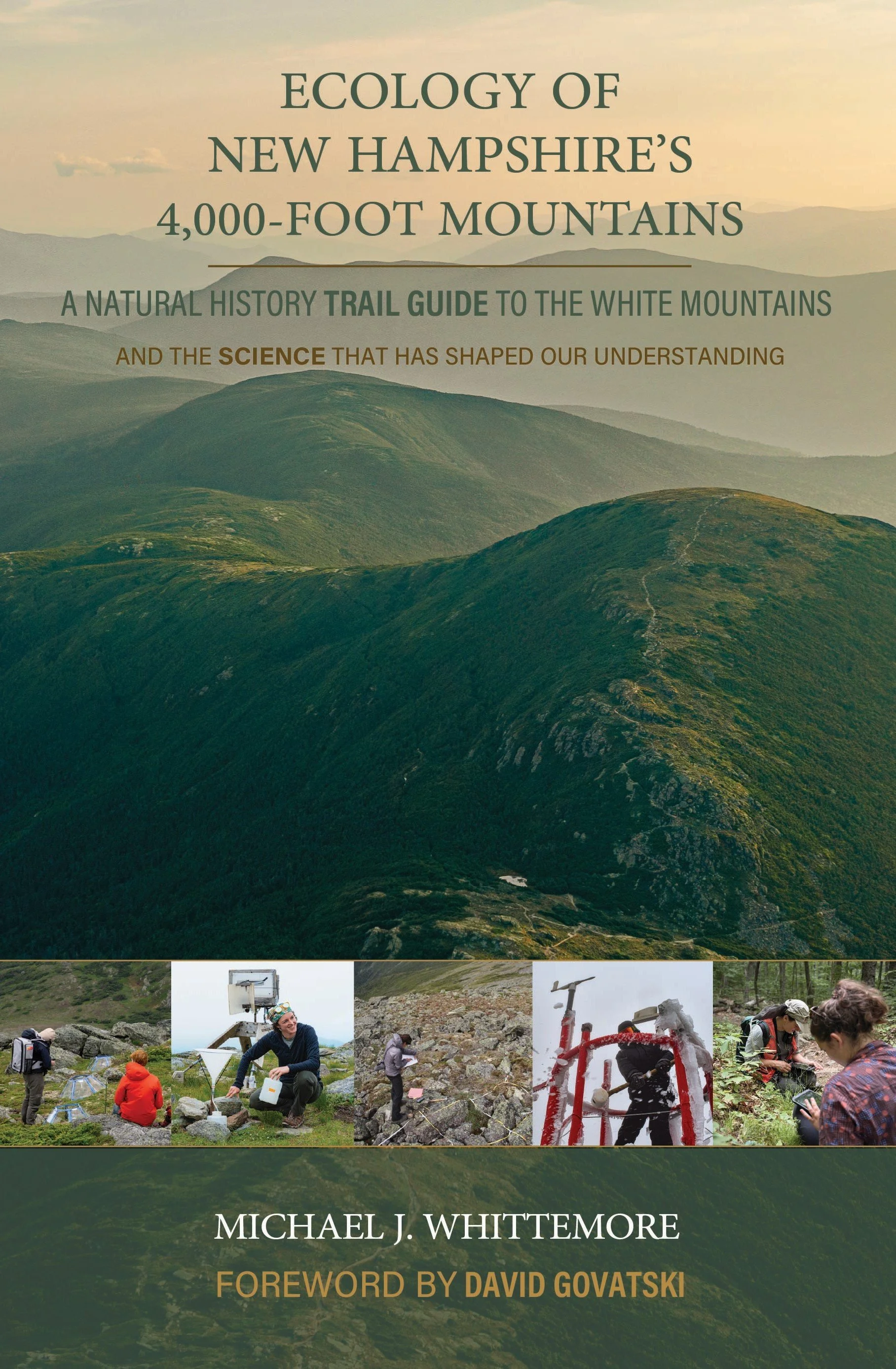 Cover of Ecology of New Hampshire’s 4,000-Foot Mountains by Michael J. Whittemore.