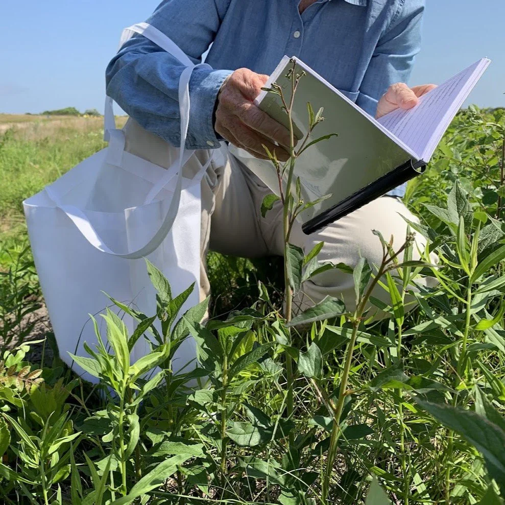 Vegetation Sampling on Martha's Vineyard