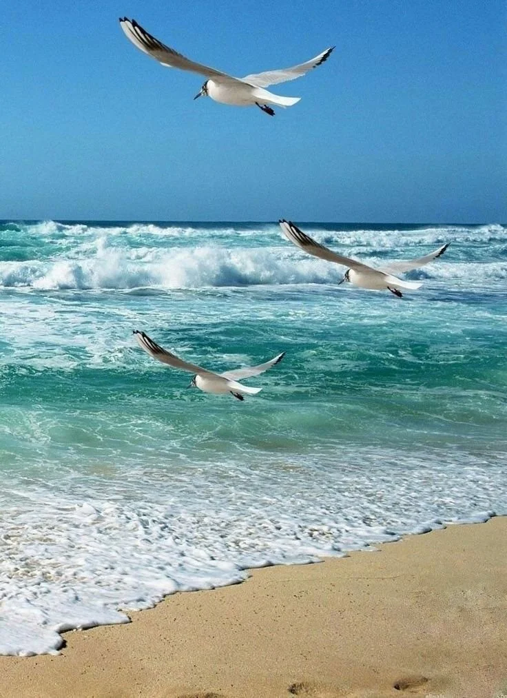 Grief & Loss Support