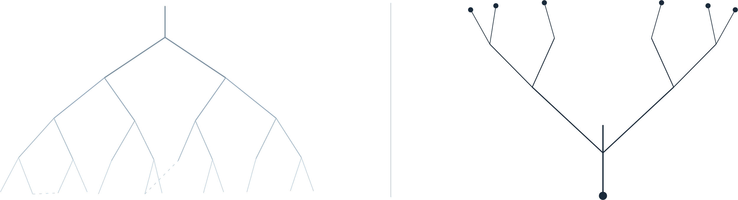 Abstract diagram illustrating a B2B e-commerce UX and IA strategy — a dense, downward-tangled root system on the left representing legacy operational complexity, resolving into a clean upward-branching tree on the right representing structured growth