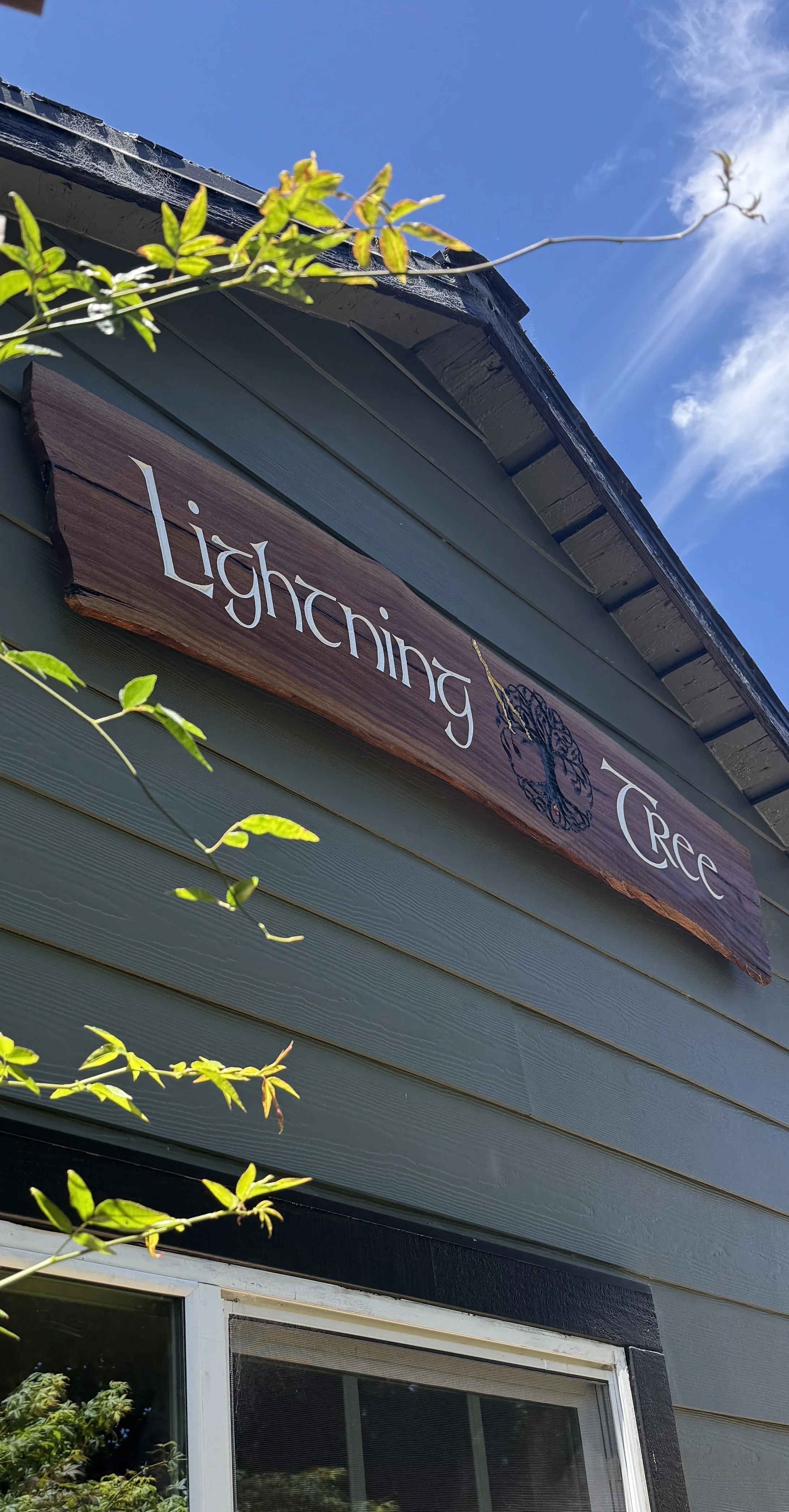 lightning tree sign breathwork space.jpg