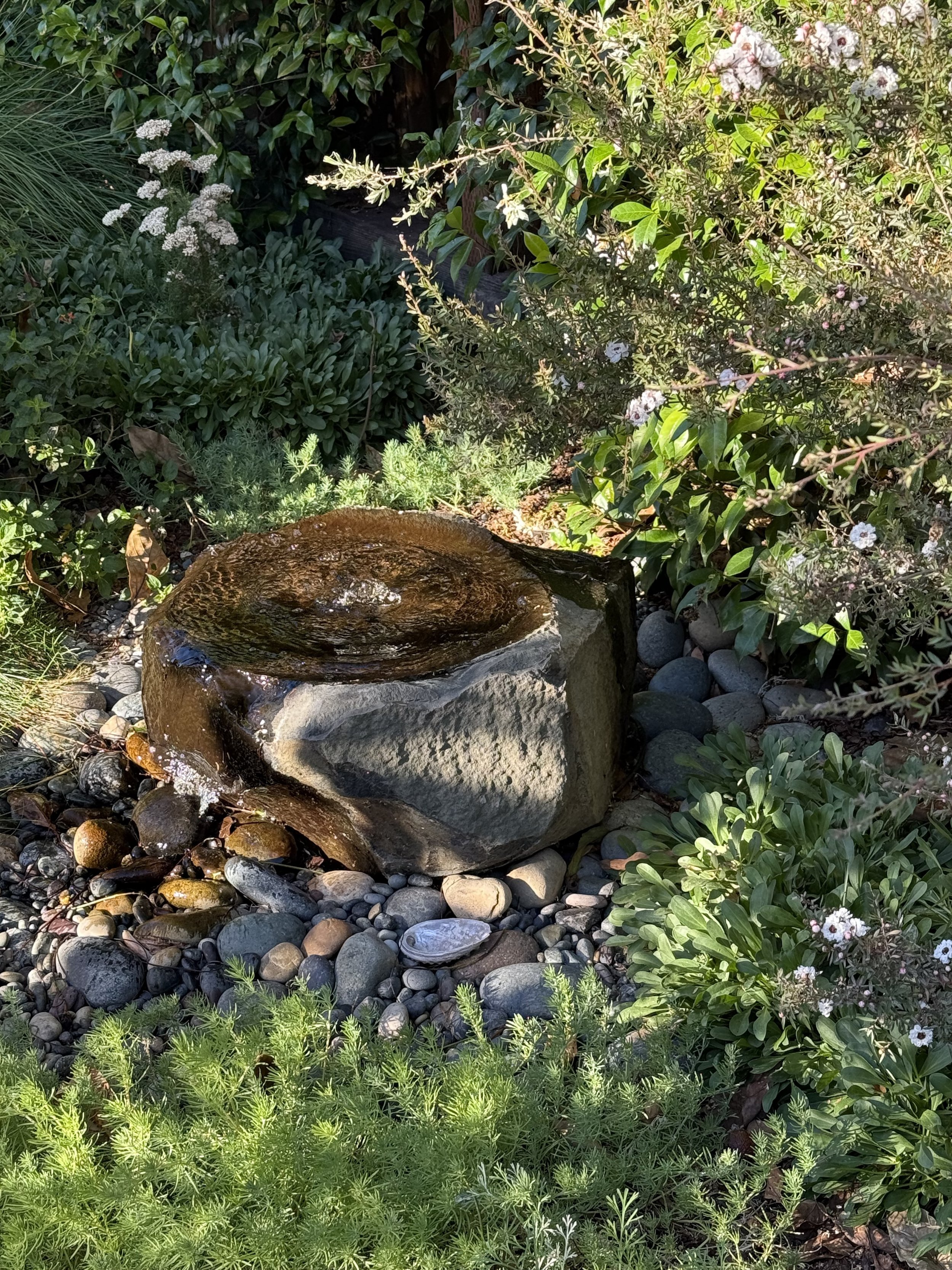 garden fountain in The Terrain.jpg
