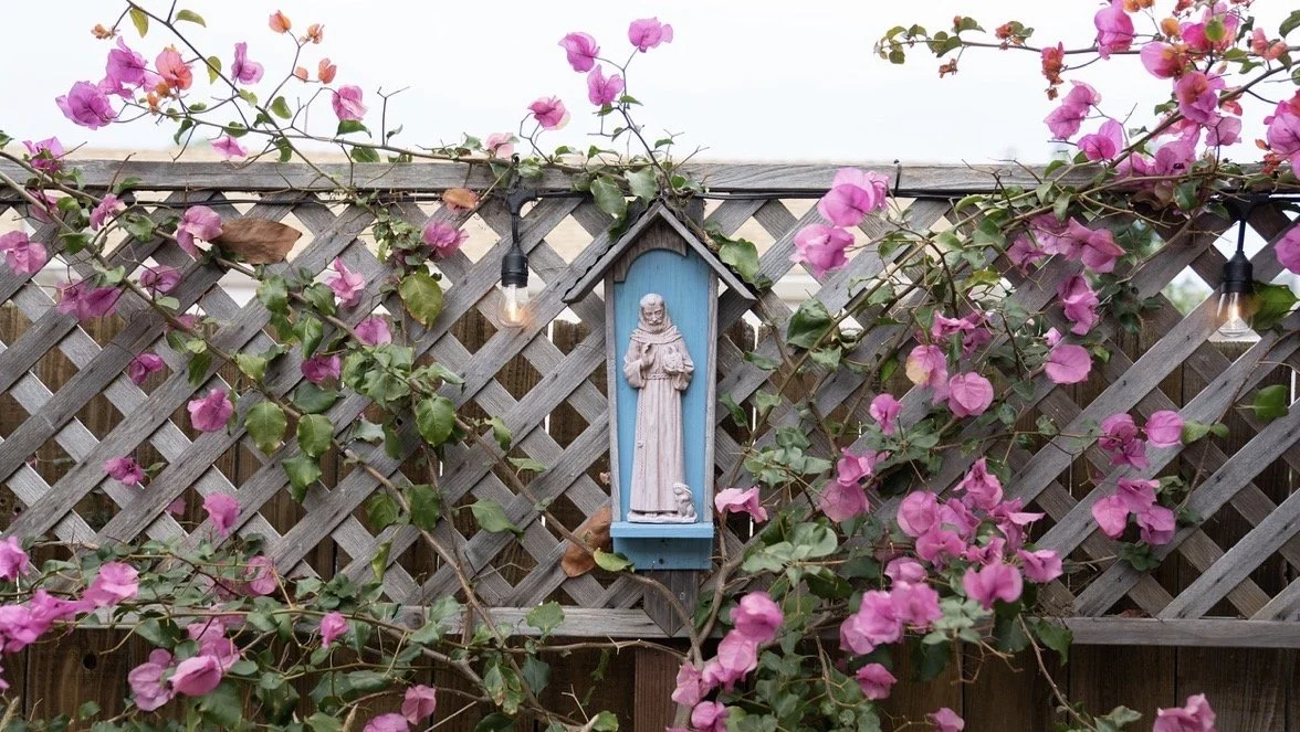 St Francis on fence wide.jpeg