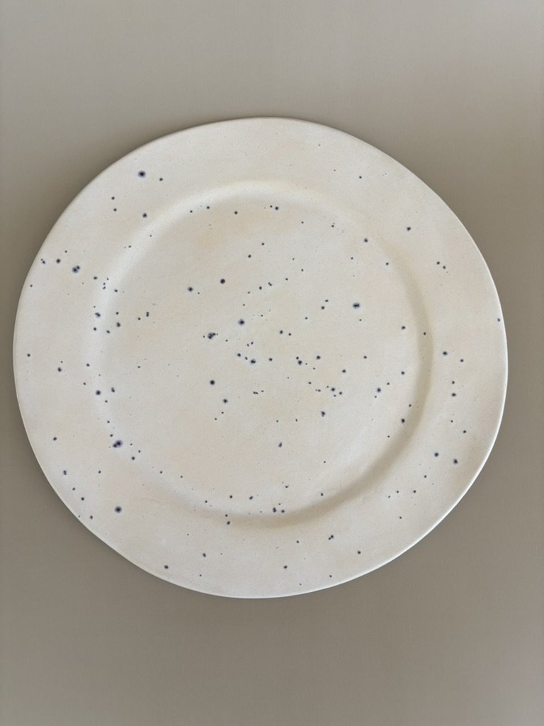 Stardust Plate