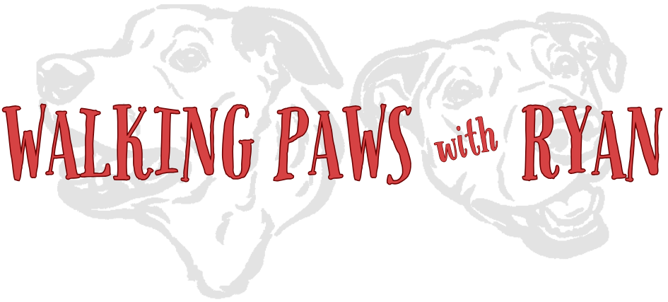 Walking Paws with Ryan