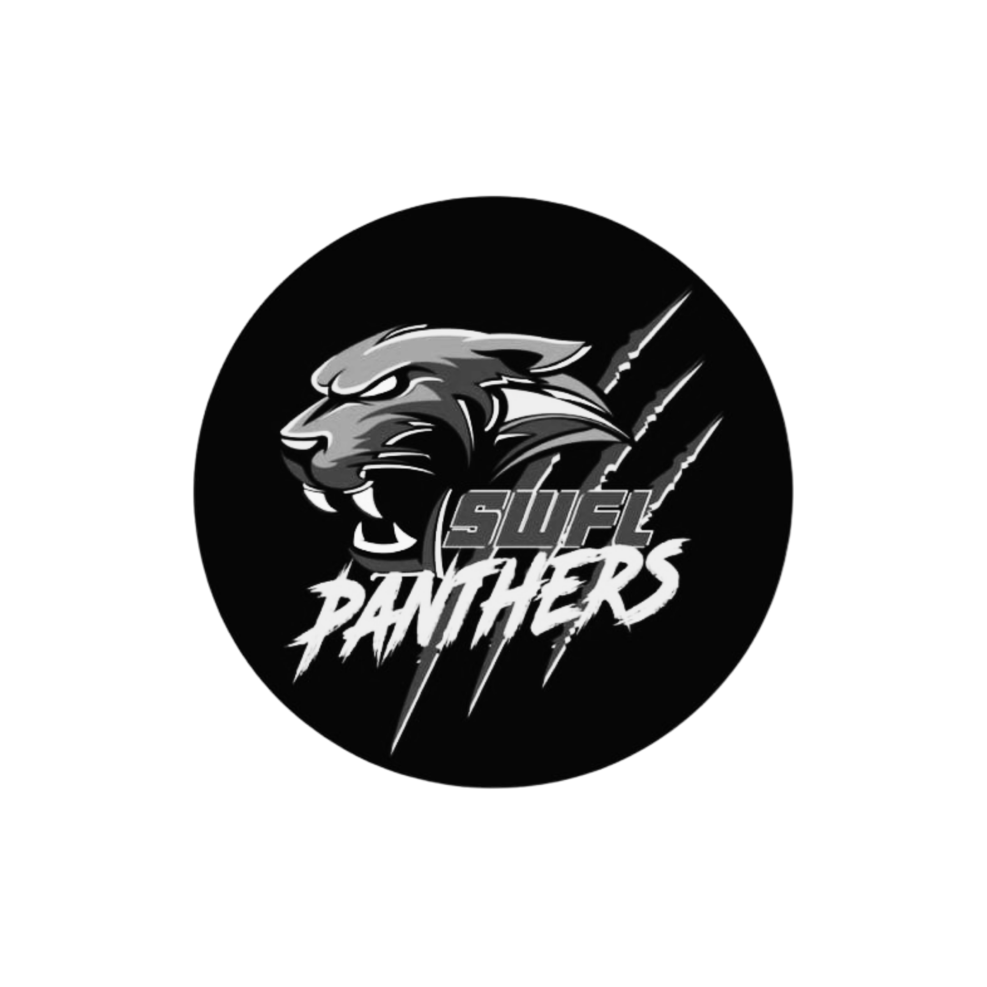 Black circular logo featuring a fierce gray and white lion's head with an open mouth, sharp teeth, and a flowing mane. Text "STAY AFTER" in bold white stylized font beneath the lion's face.