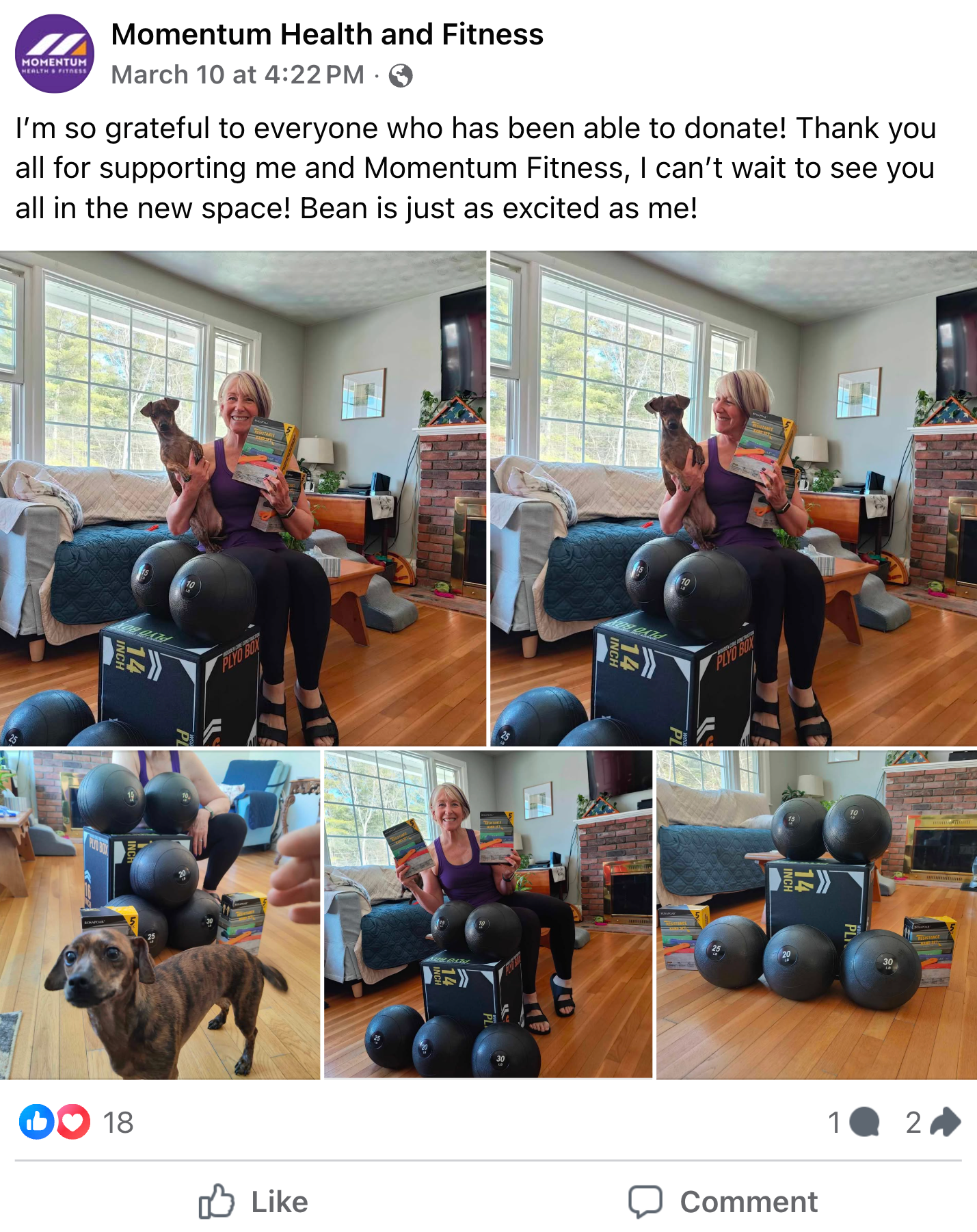 A woman holding a small dog and a box of fitness equipment in a living room with large windows, a brick fireplace, and a blue couch. Various fitness balls and boxes are displayed, and a dog is in the foreground.