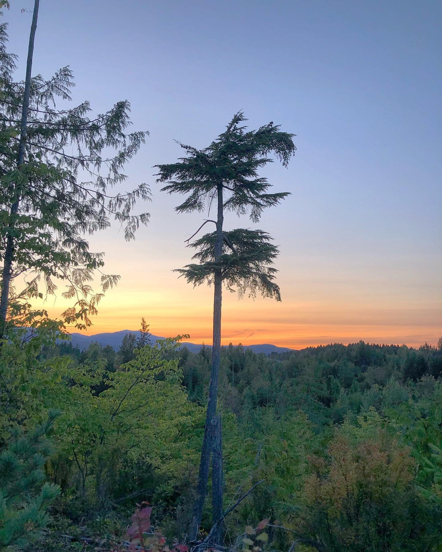 Any guesses as to where this is?
🌲
So lucky to live in this beautiful part of the world - lucky enough to work from anywhere and have this as my evening run view! 🙌
Some days of being a business owner are HARD, so if you&rsquo;re in the same boat, 