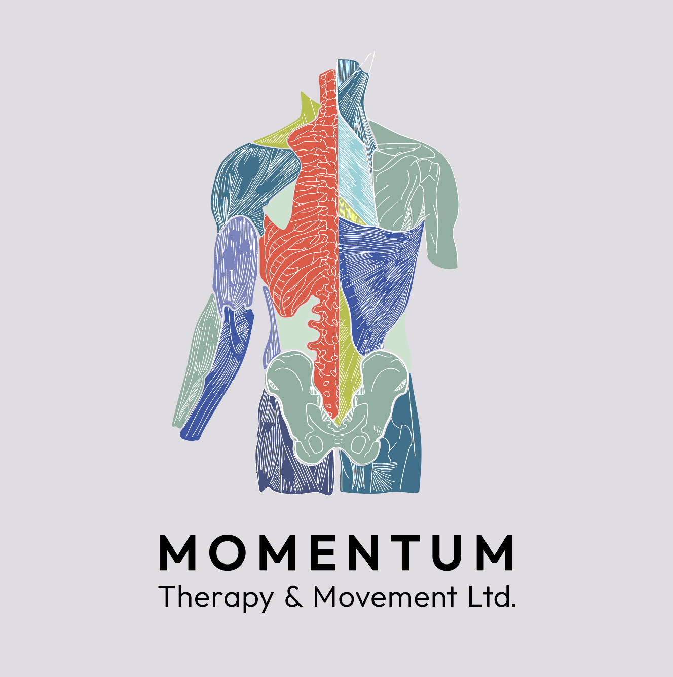 Illustration of the human body highlighting various muscles and skeletal structure with the text 'MOMENTUM Therapy & Movement Ltd.'