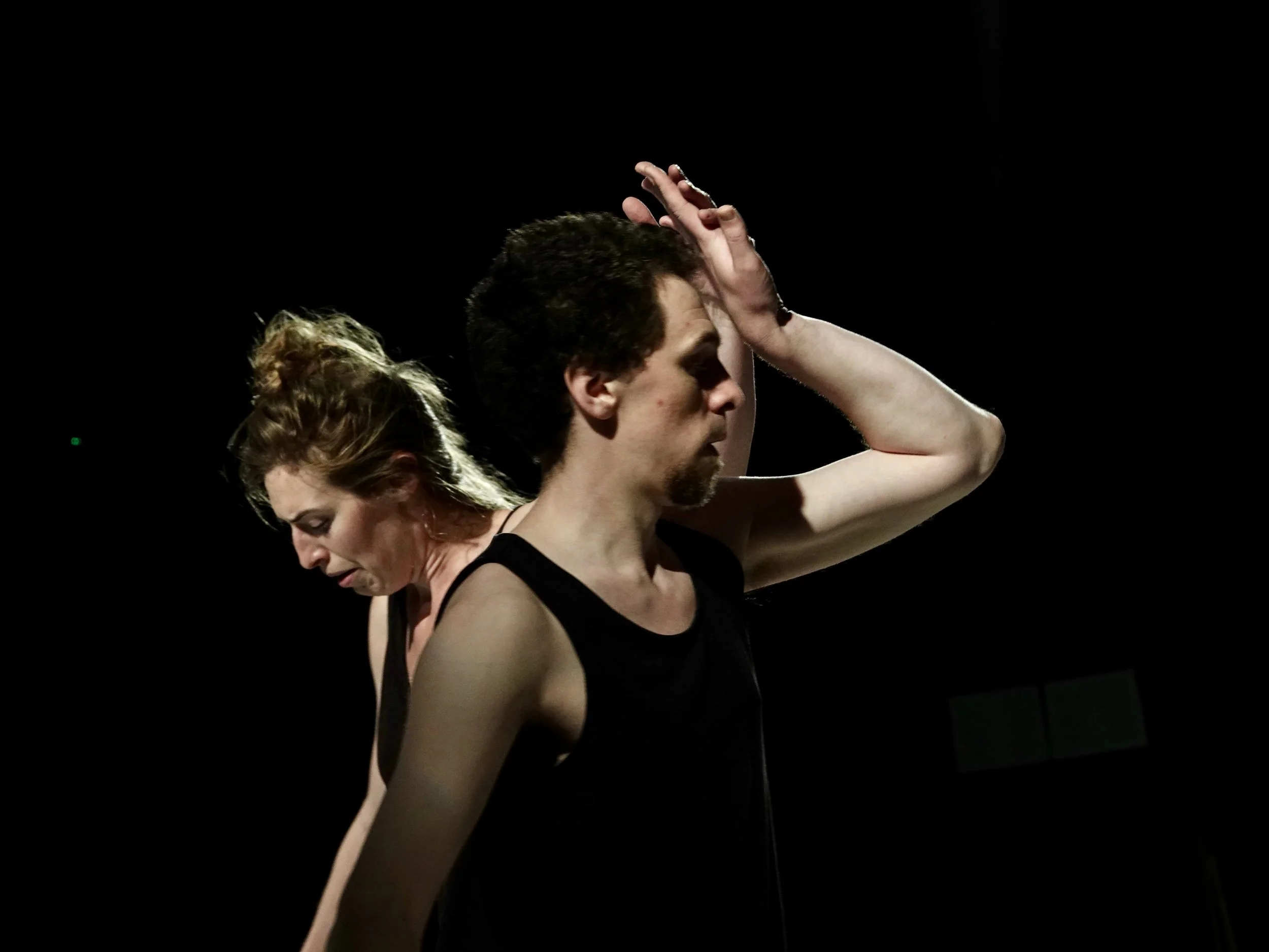 Shakespeare's Duets: Turn & Change