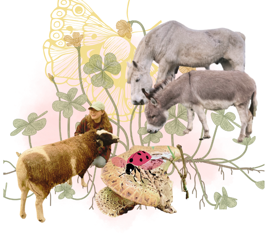 A collage of farm animals, plants, and a person. Includes a sheep, donkey, cow, a woman with long hair and a cap, mushrooms, and a ladybug, set against a background with vine and clover illustrations.