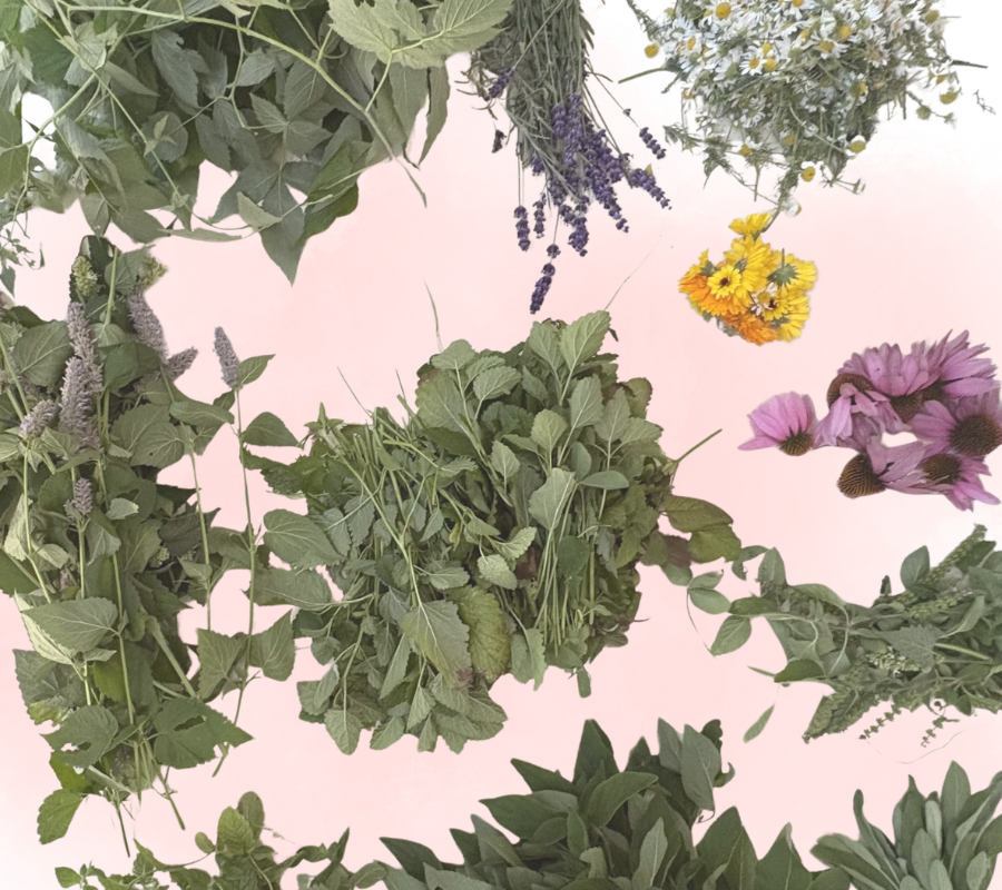 A collection of various green leaves and colorful flowers arranged on a light pink surface.