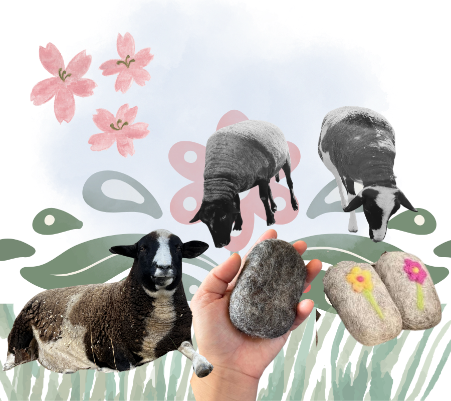 A collage featuring images of sheep, stones, and felted wool with flowers and leaves in the background.