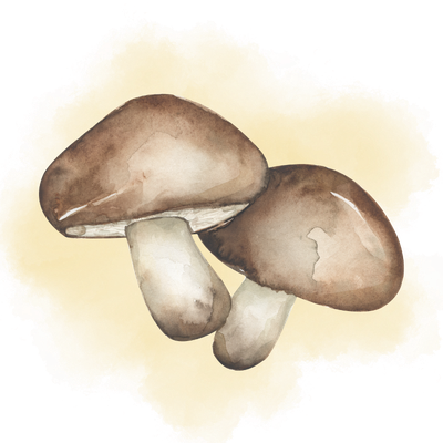 Close-up of two brown mushrooms on a yellow background.