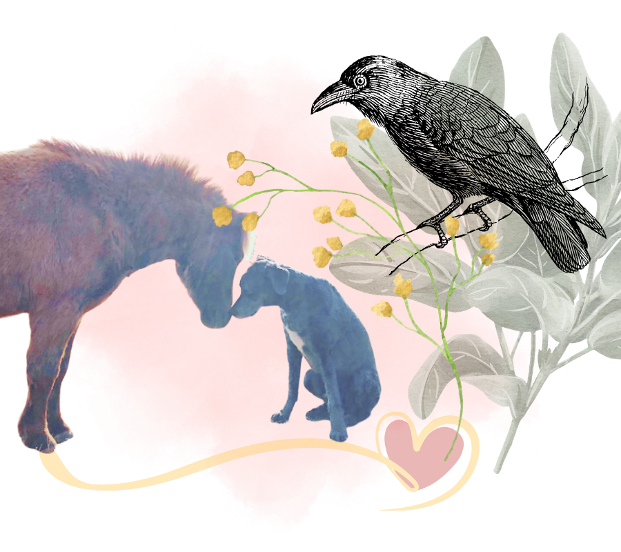 Illustration of a mini horse and a dog touching noses with a black bird perched on a leafy branch nearby, with a pink background and decorative heart element.
