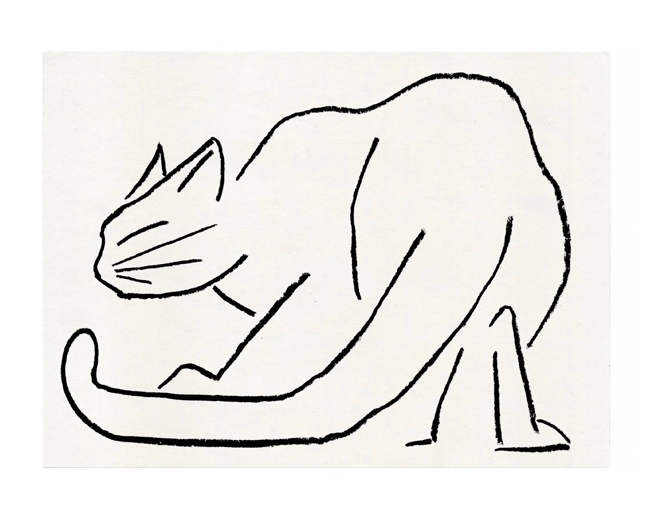 Line drawing of a sitting cat with a curved back and tail, facing left.