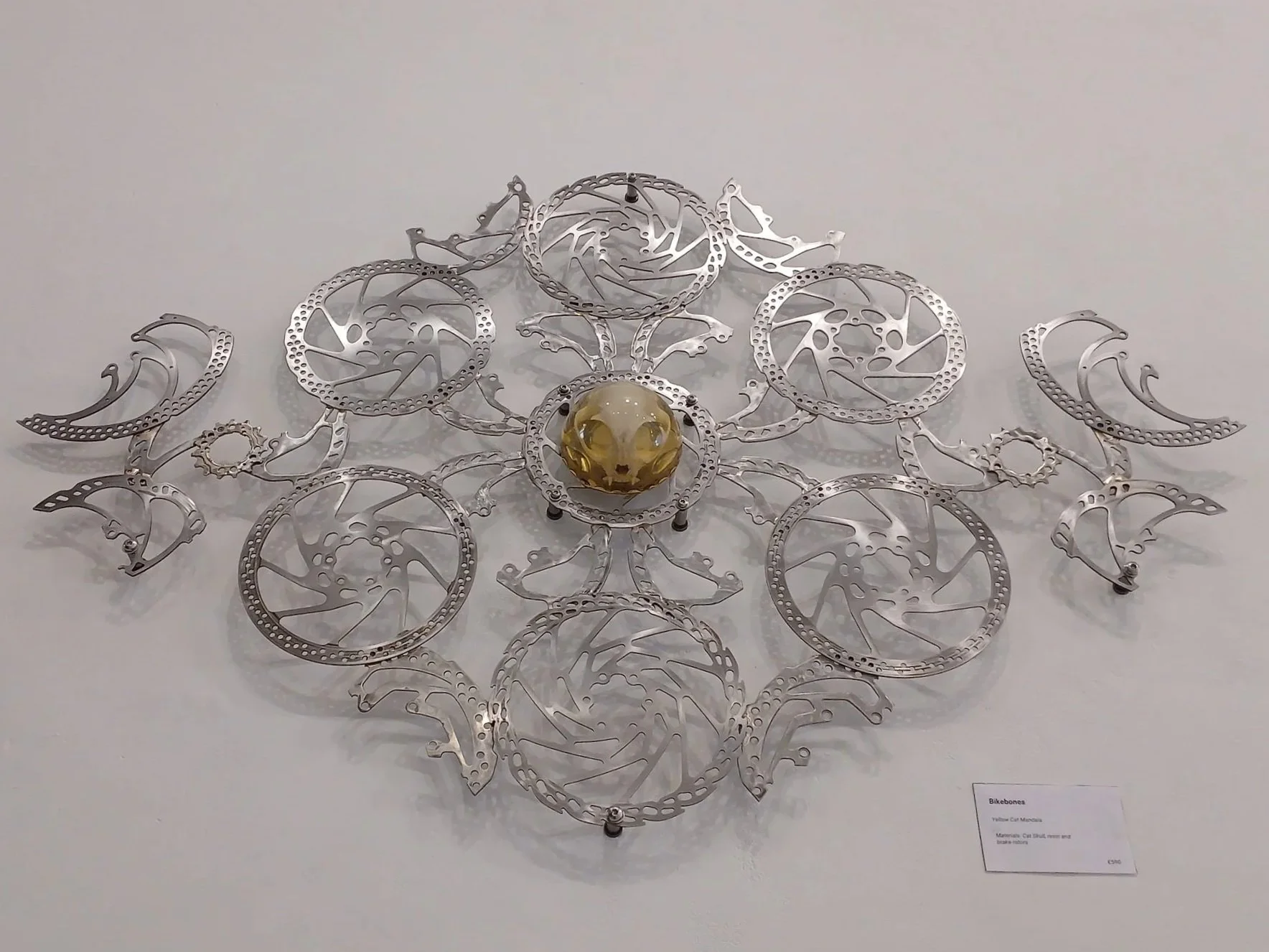 a metal mandala made of steel bicycle parts with a real cat skull in the center.