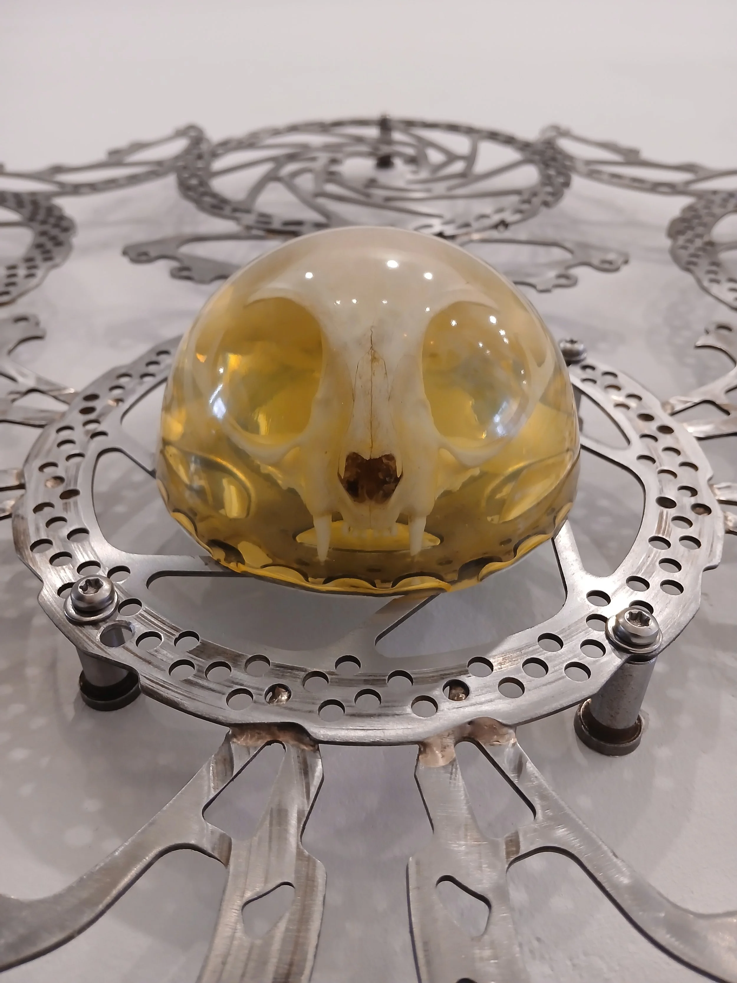 a real cat skull casted in resin as a centerpiece on a metal mandala made of upcycled bike parts